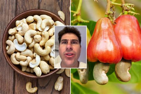 How Do They Grow Cashews