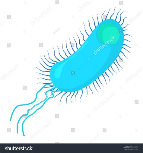 336 Human Centipede Images, Stock Photos & Vectors | Shutterstock