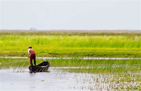 Apa, o resursă prețioasă: cum să o protejăm - Twinkl