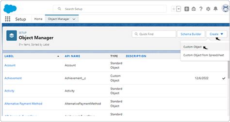 Image result for How to Create Custom Object in Salesforce
