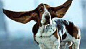 "Klemponjin" komad slave! :: Novice :: Lupiga