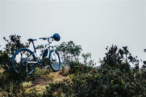 Mountain bicycles Photos - Download Free High-Quality Pictures | Freepik