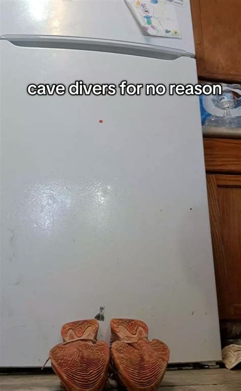 Cave Diver Meme