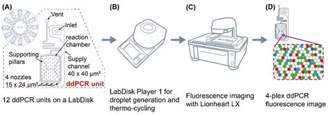 Centrifugal Microfluidic Integration of 4-Plex ddPCR Demonstrated by ...