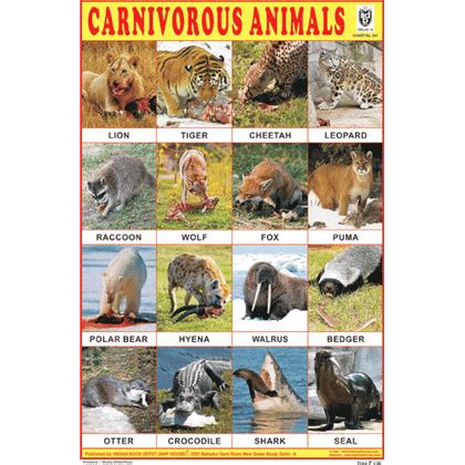 Products | Indian Book Depot