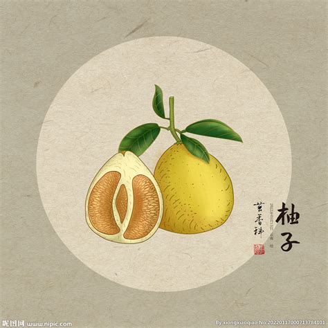 柚子摄影图__水果_生物世界_摄影图库_昵图网nipic.com