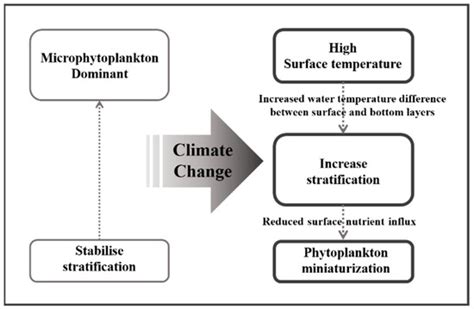 Impact of Phytoplankton Community Structure Changes in the South Sea of ...