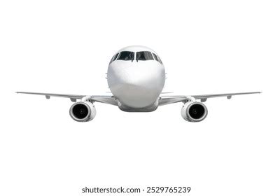 Fly Front View 的图像结果