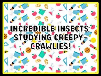 INCREDIBLE INSECTS: STUDYING CREEPY-CRAWLIES! Kindergarten Science Door ...