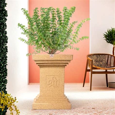 Tulsi Pot Online in India | Flipkart | 30-Sep-25