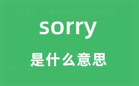 sorry是什么意思_sorry怎么读_中文翻译是什么?_学习力