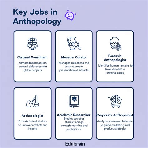 Anthropology vs. Sociology: Key Differences and Similarities Explained ...