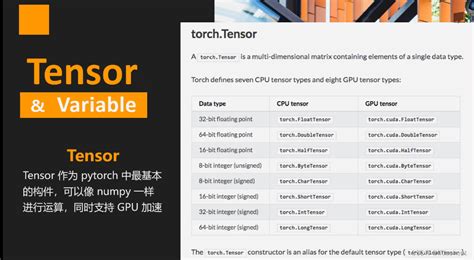 Python Pytorch 的图像结果