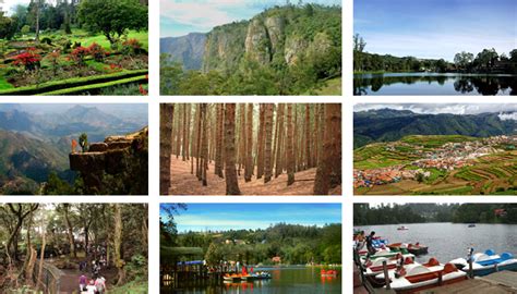 Saraswathi Tours & Travels | Kodaikanal Tours | Kodaikanal Travels ...