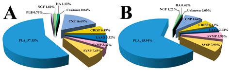Differences between Two Groups of Burmese Vipers (Viperidae: Azemiops ...
