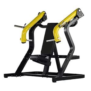 Buy REAL SWISS INCLINE CHEST PRESS Online at Low Prices in India ...