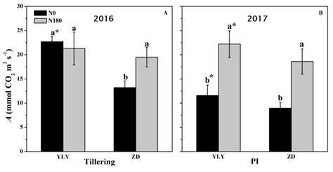 Higher Radiation Use Efficiency Produces Greater Biomass Before Heading ...