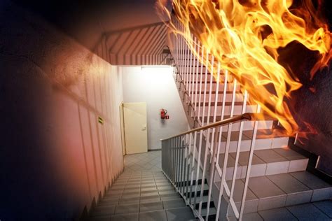 Best Fire Resistant Paint Manufacturers in Pune, Maharashtra from India