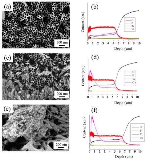 Photodeposition of Hydroxyapatite into a Titanium Dioxide Nanotubular ...