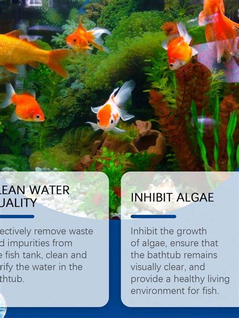 Clarificador de água para aquário - Limpa detritos, lama e crescimento ...