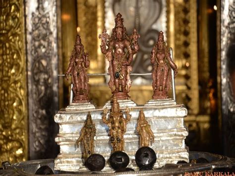 Padutirupathi - JungleKey.in Image