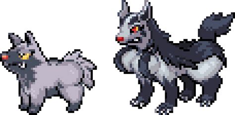 Image result for Poochyena Evolution Level