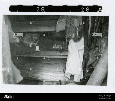 SS Photographer Eines Norwegian SS 1943 Field training, enlistment ...