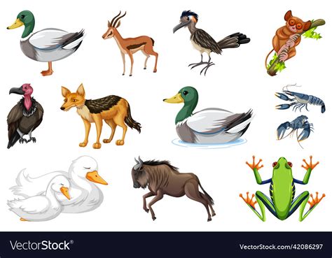 Types SOF Kinds 的图像结果