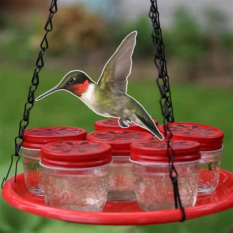 DIY Hummingbird Feeder with Mason Jars — Empress of Dirt