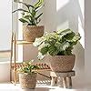 Seagrass Planter Basket Indoor Outdoor, Flower Pots Cover, Plant Pots ...