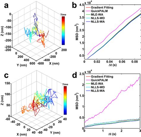 Single Particle Tracking 的图像结果