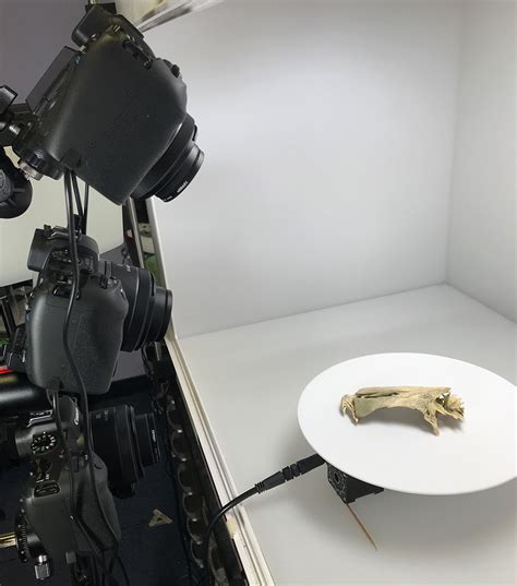 Digital Photogrammetry 的图像结果