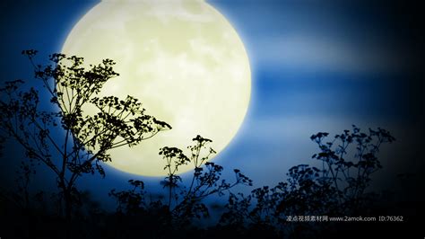 夜晚天空月亮背影图片,夜晚天空,天空月亮_大山谷图库