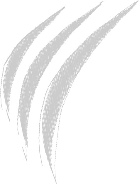 Image result for Write an Algorithm in Scratch Vector Image