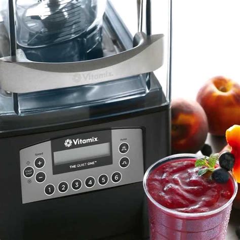 Vitamix The Quiet One - Máy xay sinh tố công nghiệp cao cấp