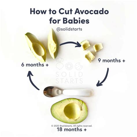 Avocados for Babies - How to Introduce Avocado to Babies - Solid Starts