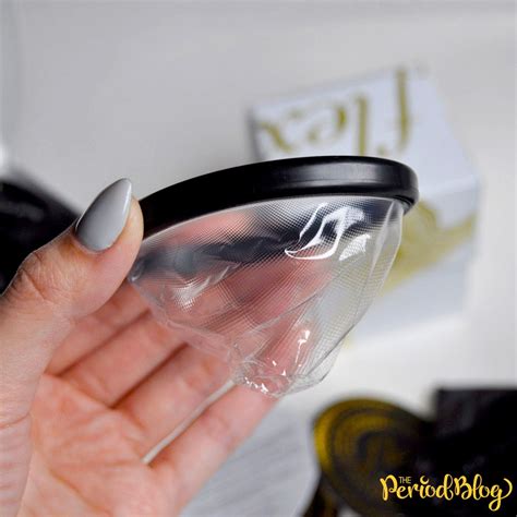 Flex Disc Placement at Meghan Herbert blog