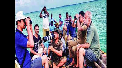 Rameswaram bird count sees numbers swell | Madurai News - Times of India