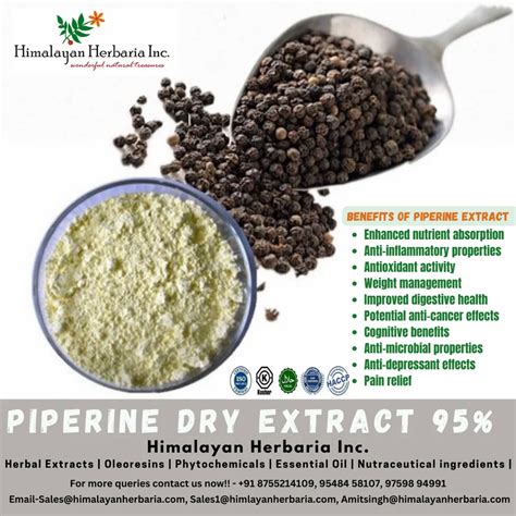 Nutraceutical Herbal Extracts - Natural Curcumin 95% Manufacturer from ...