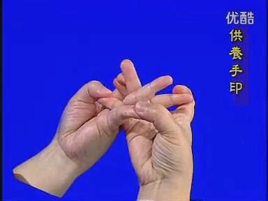 手印示范：供养手印_咒符手印_大咒仙 佛法咒术实修网