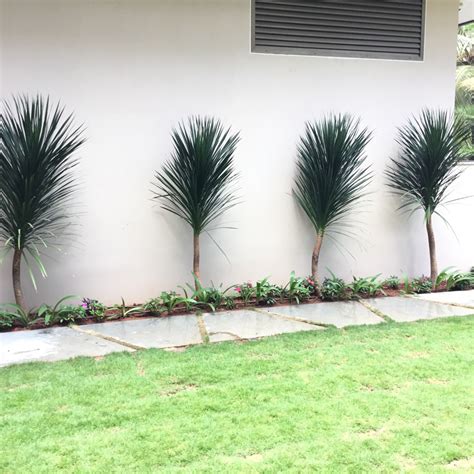 VRXHA | Luxury Outdoor Ecosystems & Premium Landscaping Hyderabad