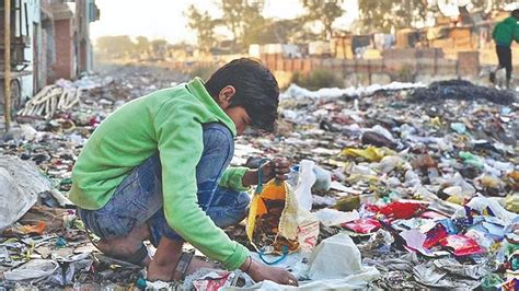 Turning garbage into gold: J-K village sarpanch shows the way