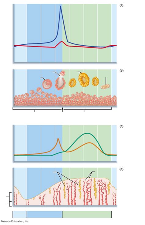 Period Cycle Graph 的图像结果