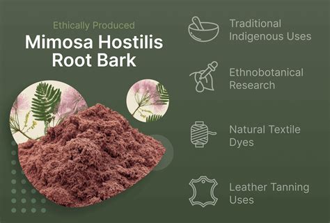 Buy Mimosa Hostilis Root Bark Powder (2Kg) | Buy MHRB Now