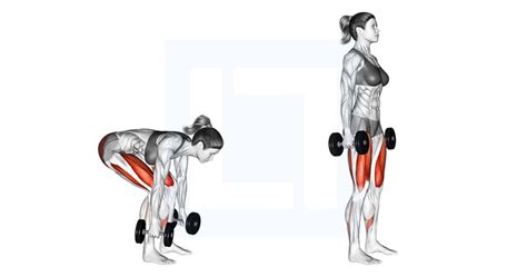 Image result for Lateral Step Up Exercise