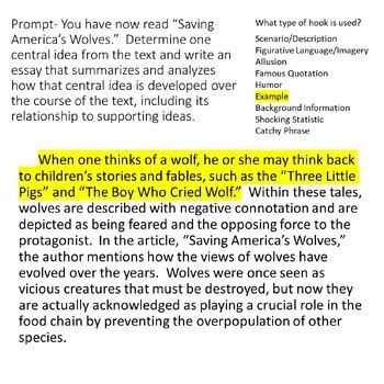 Examples of Writing Hooks by Beachy Beth | TPT