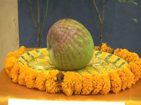 Expensive Mango 的图像结果