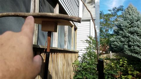 Image result for Back Yard EOS Tutorial