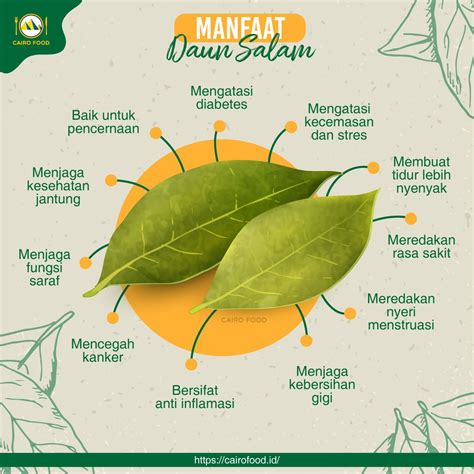 manfaat daun salam dan bawang bombay untuk kesehatan
