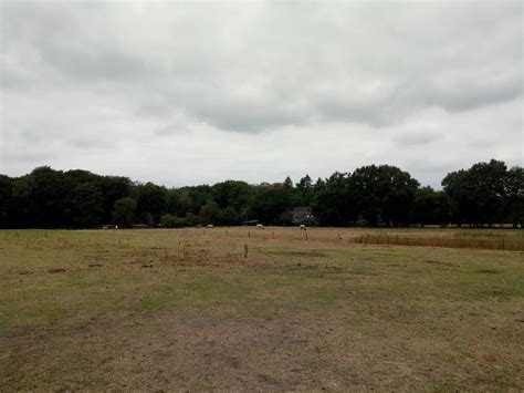 Bas Langereis leest u voor!»Blog Archive » B-log: 11 t/m 17 augustus 2018